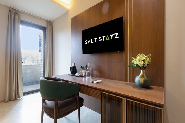 Saltstayz Premier - Naraina, Central Delhi photos image 14