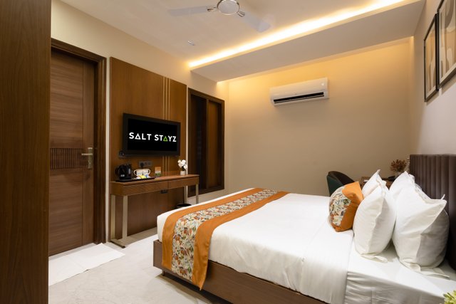 Saltstayz Premier - Naraina, Central Delhi photos image 17
