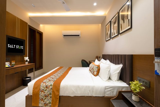 Saltstayz Premier - Naraina, Central Delhi photos image 18