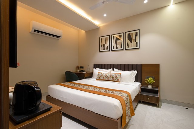 Saltstayz Premier - Naraina, Central Delhi photos image 19
