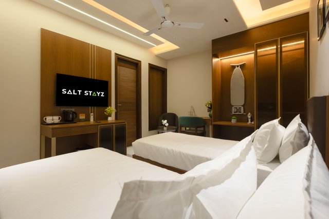 Saltstayz Premier - Naraina, Central Delhi photos image 27