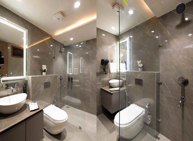 Saltstayz Premier - Naraina, Central Delhi photos image 29