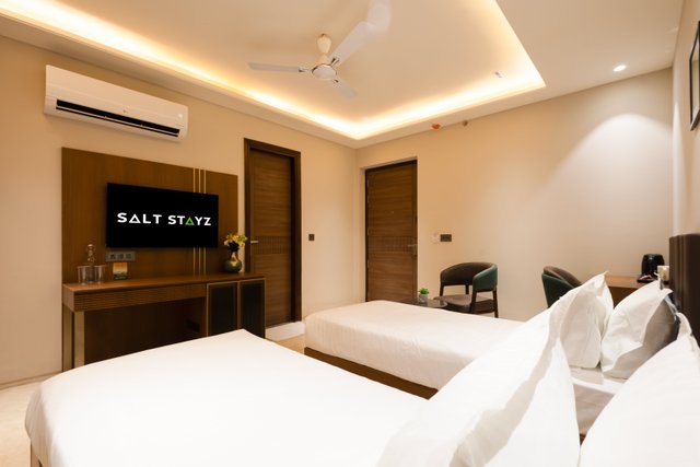 Saltstayz Premier - Naraina, Central Delhi photos image 32