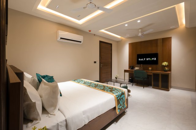 Saltstayz Premier - Naraina, Central Delhi photos image 38