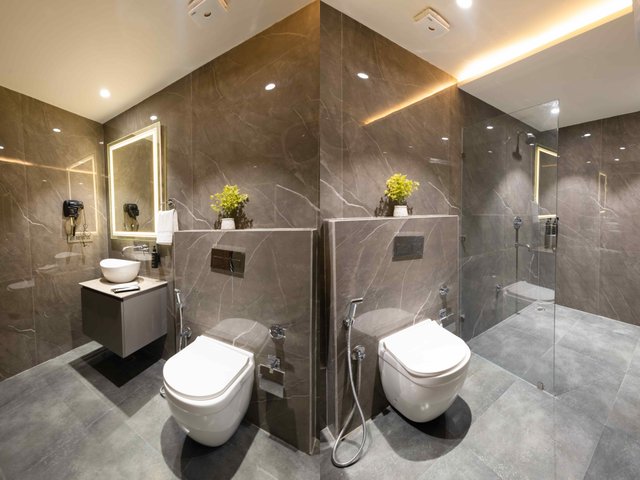 Saltstayz Premier - Naraina, Central Delhi photos image 42