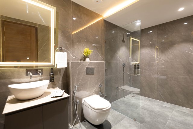 Saltstayz Premier - Naraina, Central Delhi photos image 43
