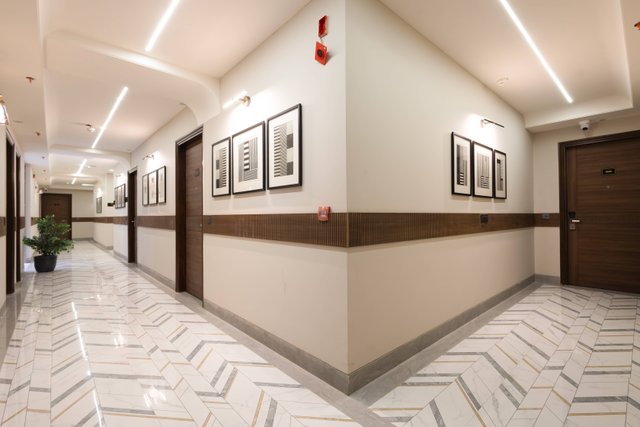Saltstayz Premier - Naraina, Central Delhi photos image 45