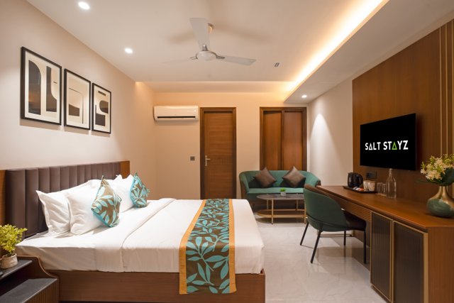 Saltstayz Premier - Naraina, Central Delhi photos image 8