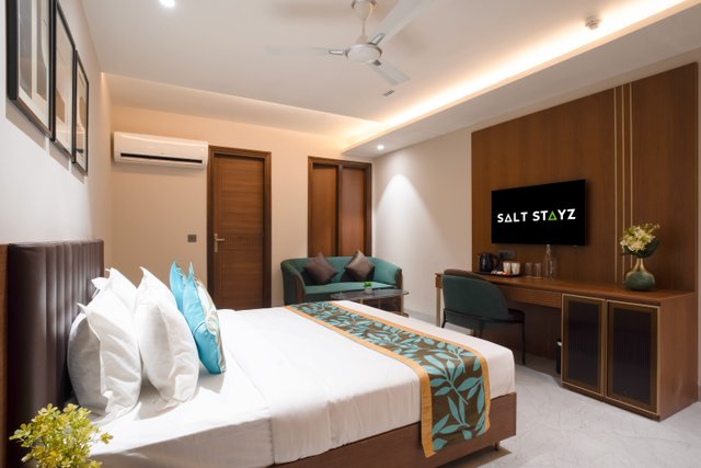 Saltstayz Premier - Naraina, Central Delhi photos image 47