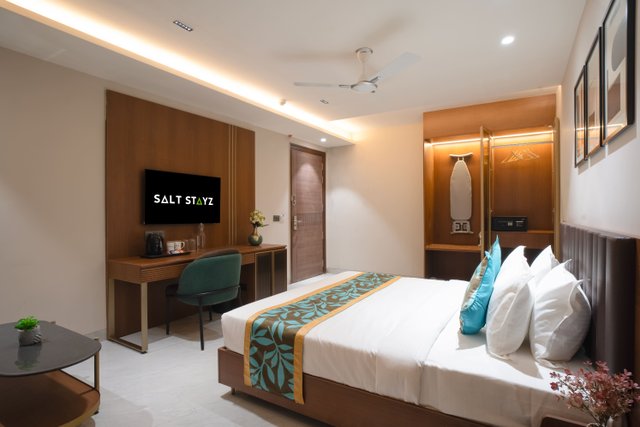 Saltstayz Premier - Naraina, Central Delhi photos image 49