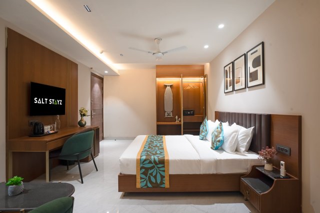 Saltstayz Premier - Naraina, Central Delhi photos image 50