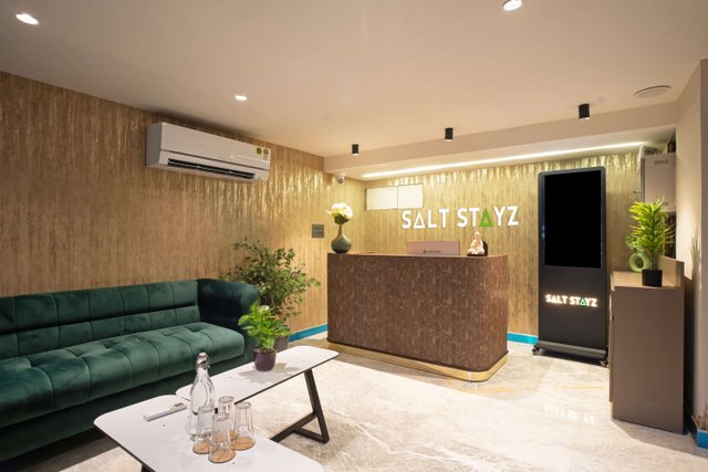 Saltstayz Premier - Naraina, Central Delhi photos image 53