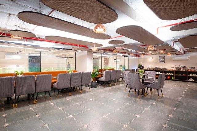 Saltstayz Premier - Naraina, Central Delhi photos image 59