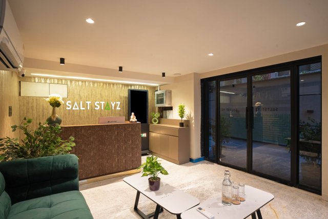 Saltstayz Premier - Naraina, Central Delhi image 4