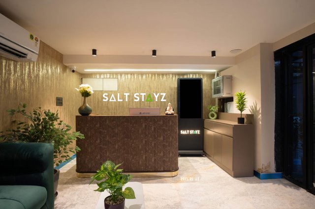 Saltstayz Premier - Naraina, Central Delhi image 2