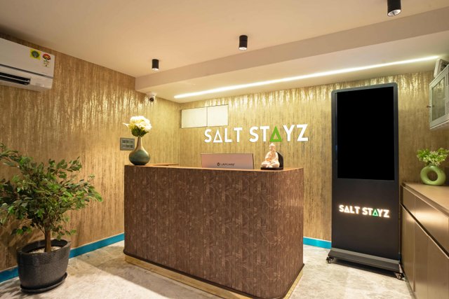 Saltstayz Premier - Naraina, Central Delhi photos image 68