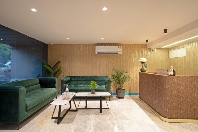 Saltstayz Premier - Naraina, Central Delhi photos image 69