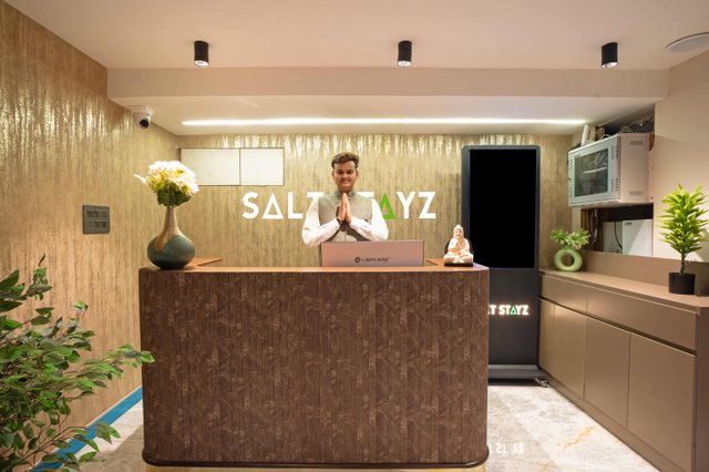 Saltstayz Premier - Naraina, Central Delhi photos image 72