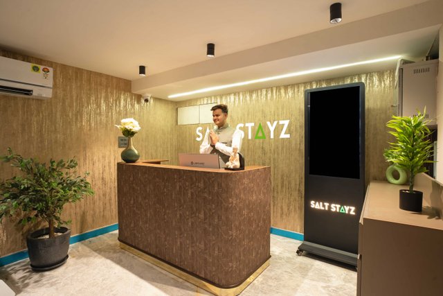Saltstayz Premier - Naraina, Central Delhi photos image 73