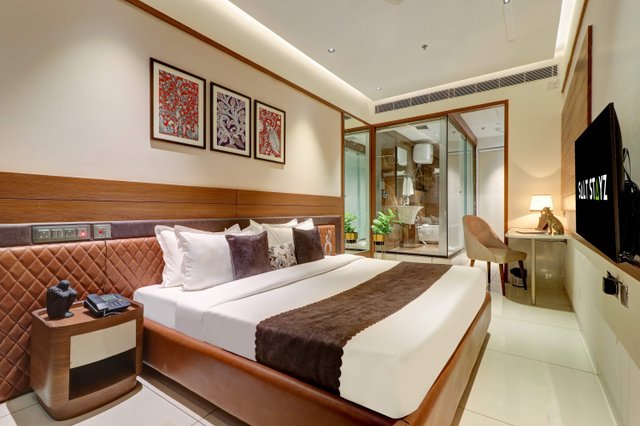 Saltstayz Trinity - Chandigarh Mohali image 1