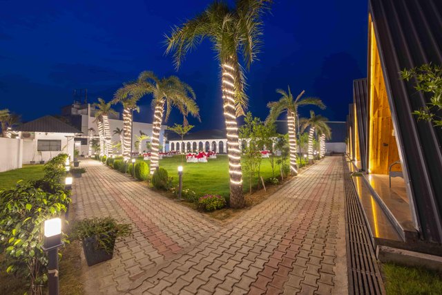 Patio Farms by Saltstayz photos image 32