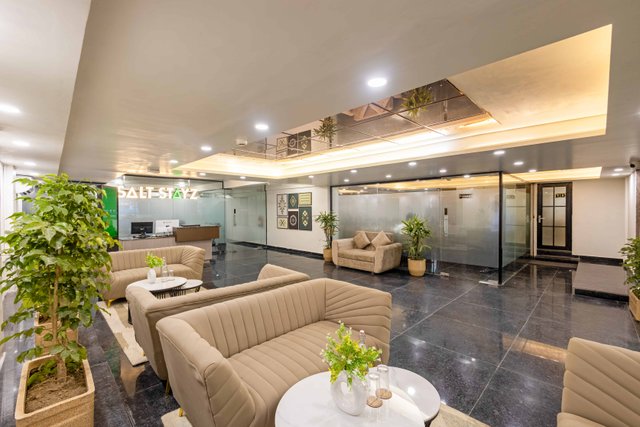 Saltstayz Premier - Paschim Vihar photos image 61