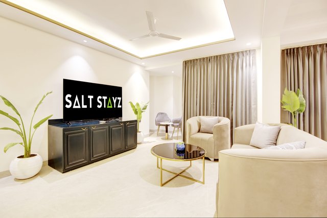 Saltstayz Premier - Galleria Market Road & Sector 27 photos image 46