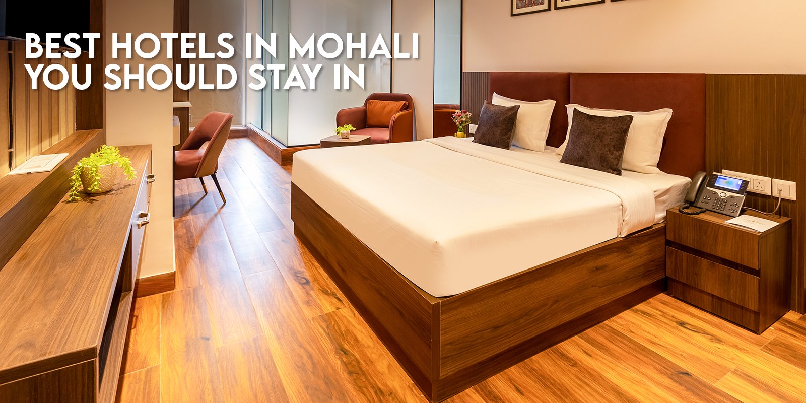 Which Is the Best Hotel in Mohali for Chandigarh And Tricity Visits?