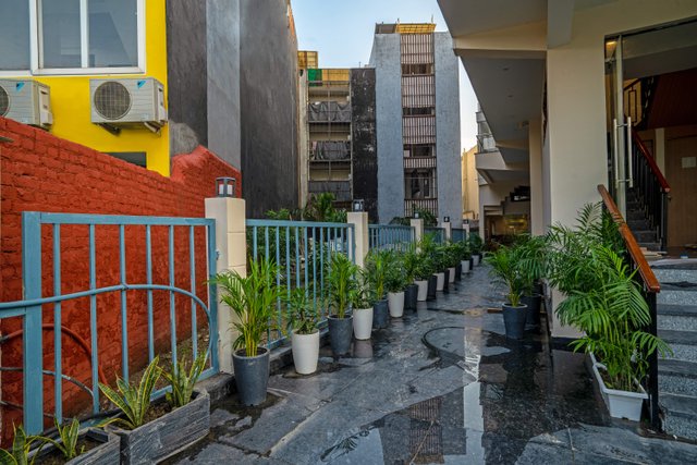 Saltstayz Premier Noida Sector 135 Expressway photos image 17