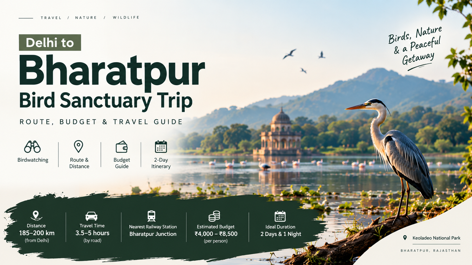 Delhi to Bharatpur Bird Sanctuary Trip: Route & Budget