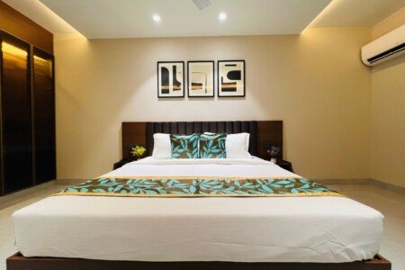 Saltstayz Premier – Naraina Central Delhi 10