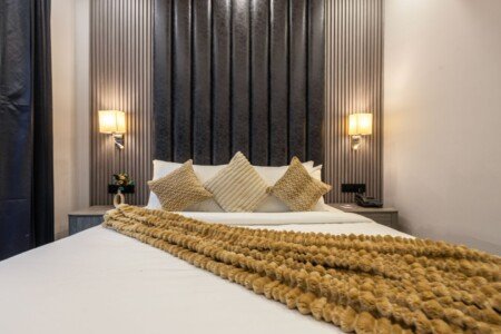 Saltstayz Residences Sector 45 Gurugram HD 4